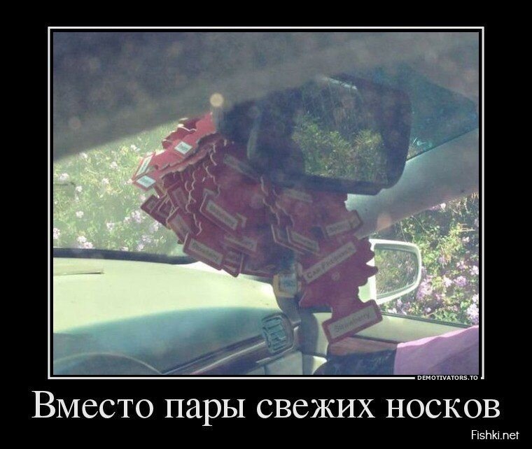 Смешной демотиватор от zubrilov за 21.06.2013 №159479