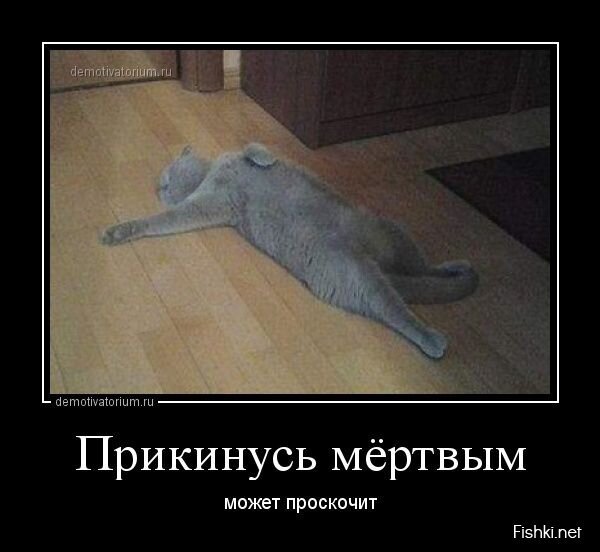 Смешной демотиватор от zubrilov за 21.06.2013 №159499