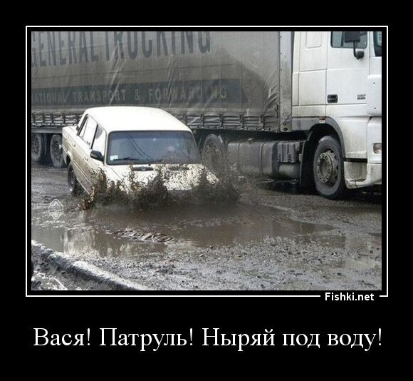 Вася! Патруль! Ныряй под воду!