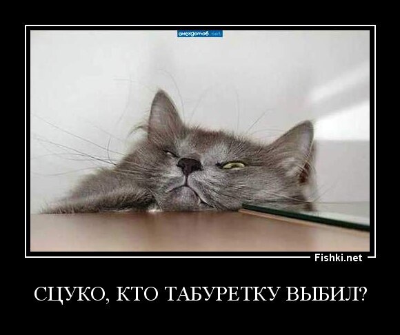 Сцуко, кто табуретку выбил?