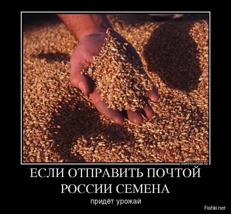 Смешной демотиватор от zubrilov за 24.06.2013 №159632