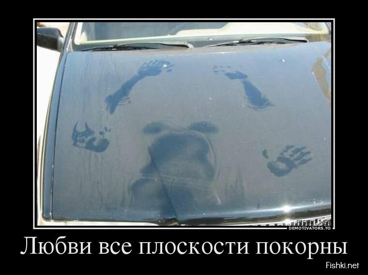 Смешной демотиватор от zubrilov за 24.06.2013 №159637