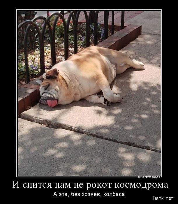 Смешной демотиватор от zubrilov за 24.06.2013 №159638