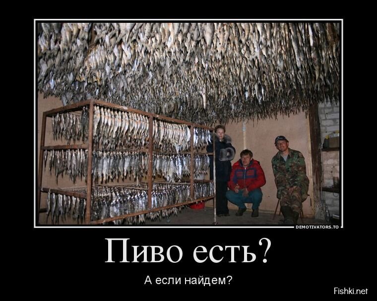 Смешной демотиватор от zubrilov за 24.06.2013 №159645