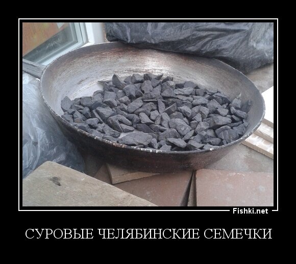 Суровые Челябинские семечки