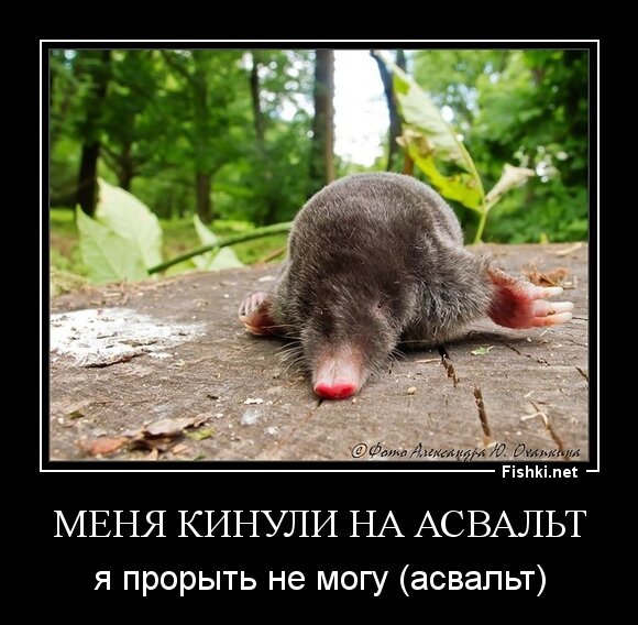 меня кинули на асвальт