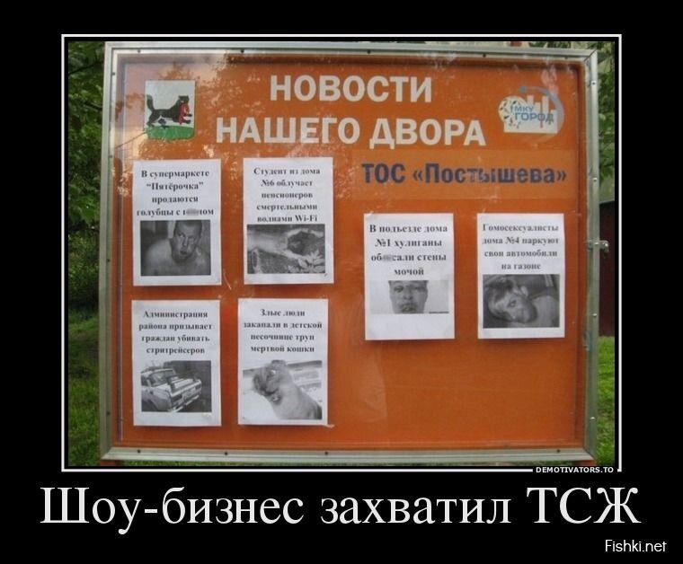 Смешной демотиватор от zubrilov за 26.06.2013 №159861