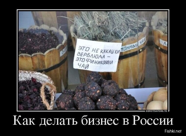Смешной демотиватор от zubrilov за 26.06.2013 №159876