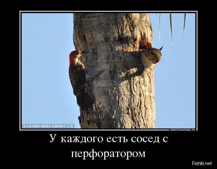 Демотиваторы, часть 395.