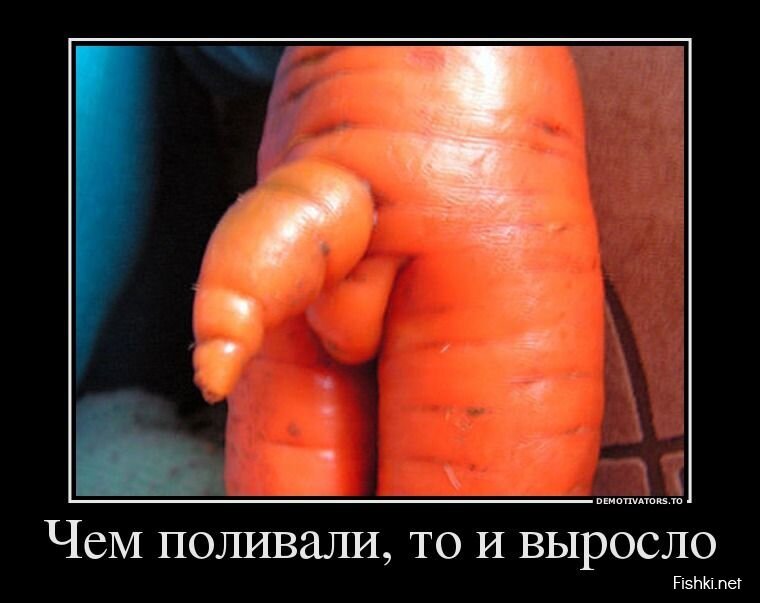 Демотиваторы, часть 395.