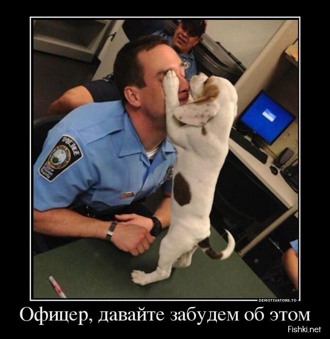 Демотиваторы, часть 395.