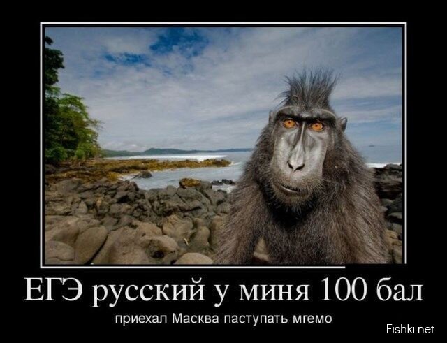 Демотиваторы, часть 395.