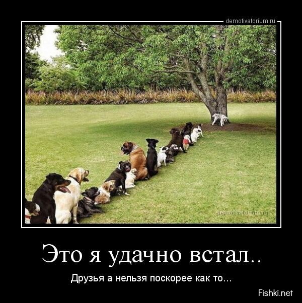 Демотиваторы, часть 395.