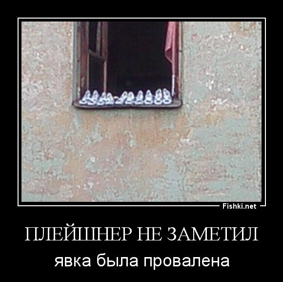 Плейшнер не заметил