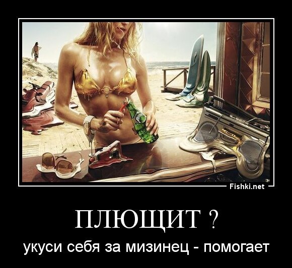 ПЛЮЩИТ ?