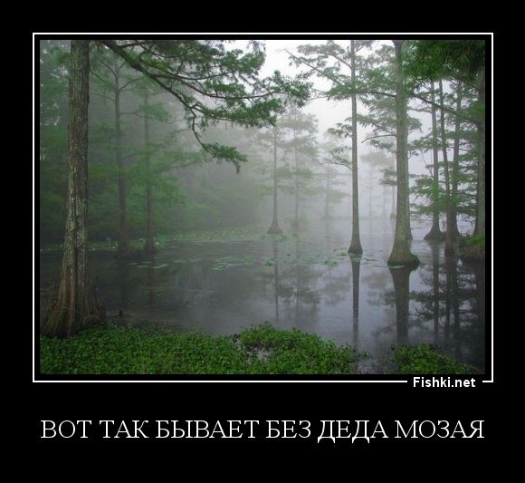 Вот так бывает без Деда Мозая