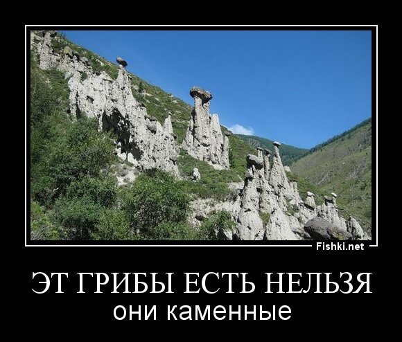Эт грибы есть нельзя