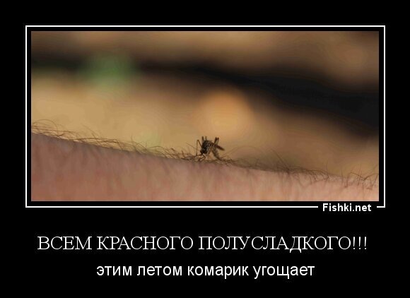 Всем красного полусладкого!!! 