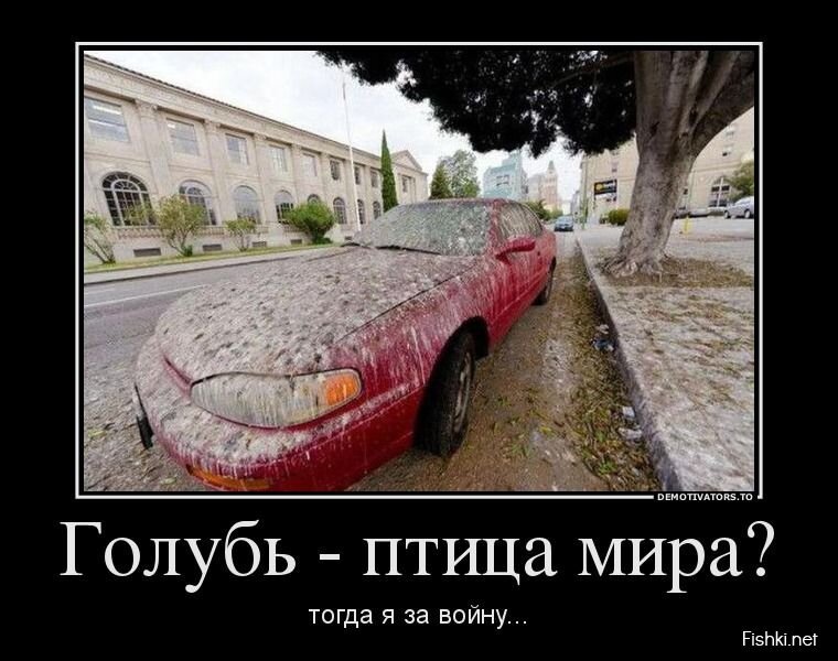 Демотиваторы, часть 396.