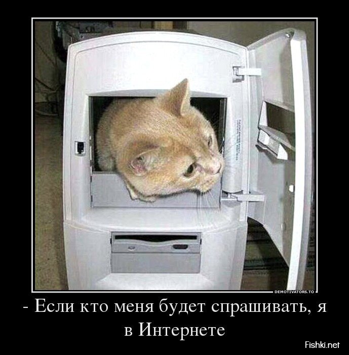 Смешной демотиватор от zubrilov за 03.07.2013 №160461