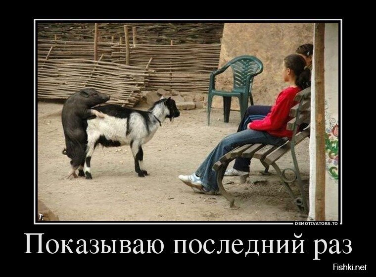 Демотиваторы, часть 397.