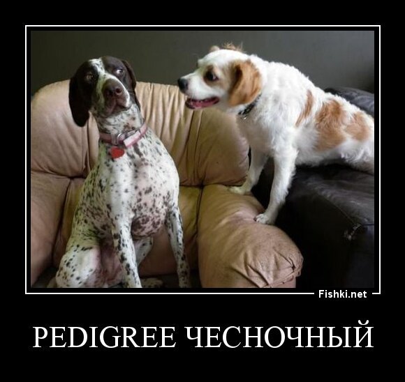pedigree чесночный