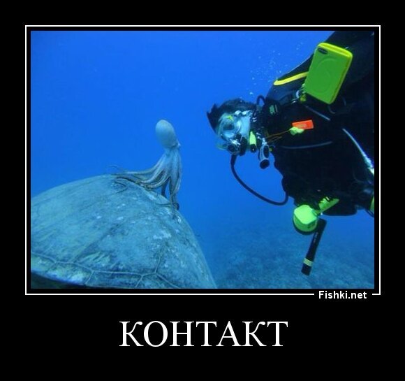 контакт