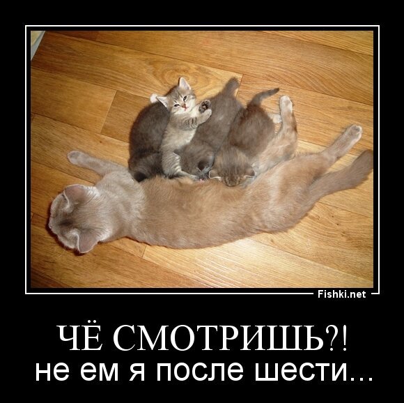 Чё смотришь?!