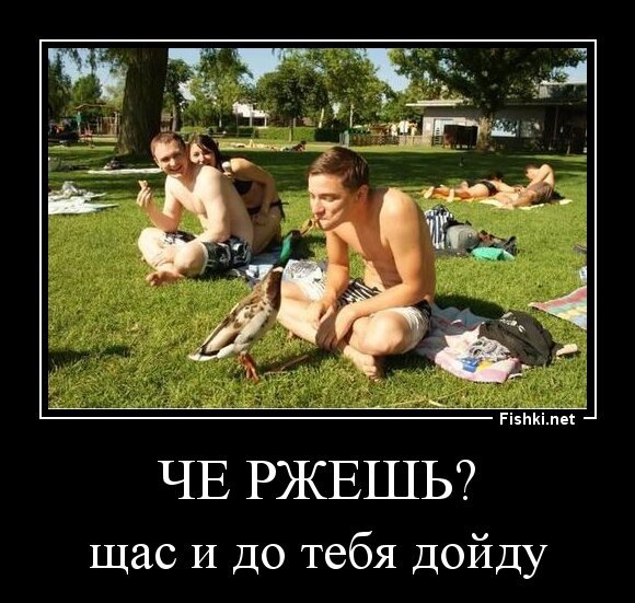 че ржешь?