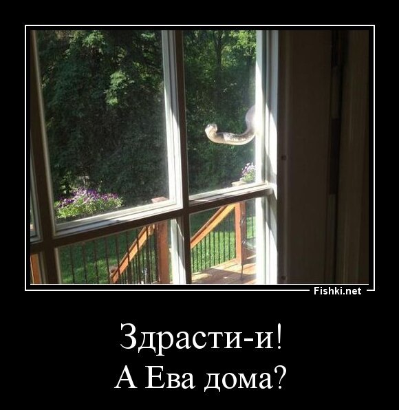 Здрасти-и!
