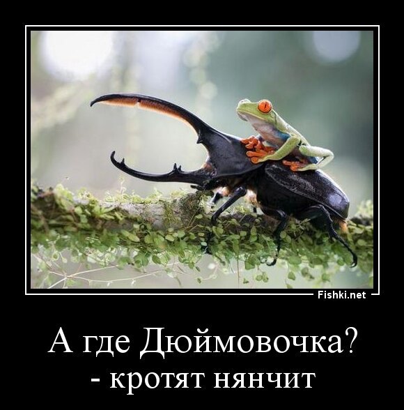 А где Дюймовочка?