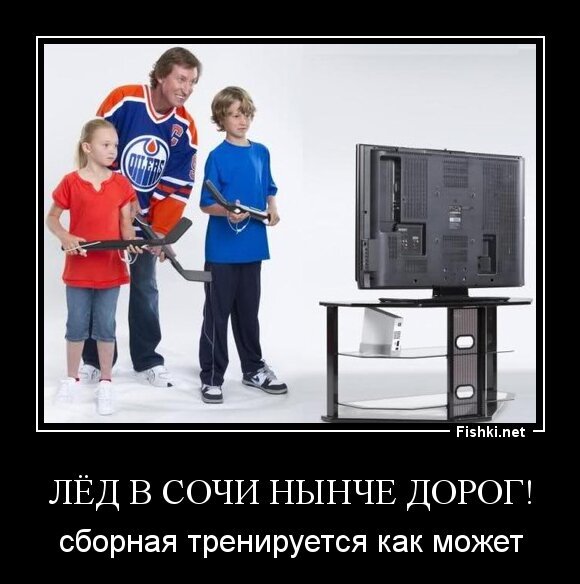 Лёд в Сочи нынче дорог!