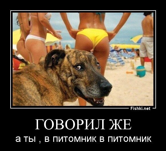 Говорил же