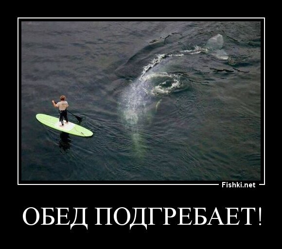Обед подгребает!