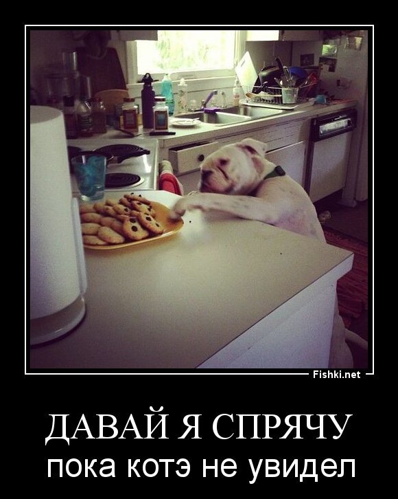 ДАВАЙ Я СПРЯЧУ