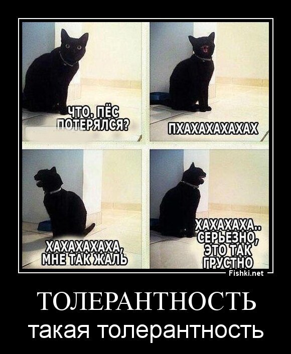 Толерантность