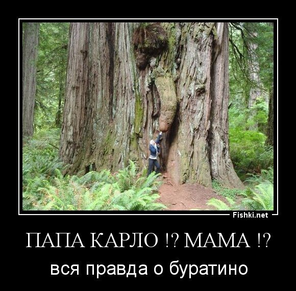 Папа Карло !? Мама !?