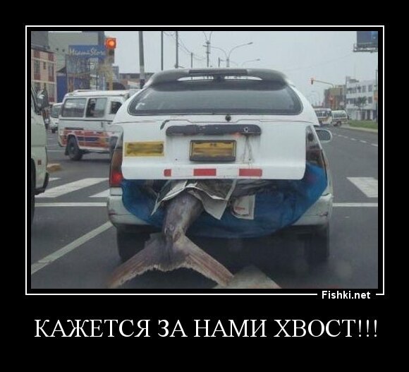 Кажется за нами хвост!!!