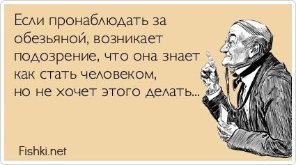Прикольные открытки, часть 161408