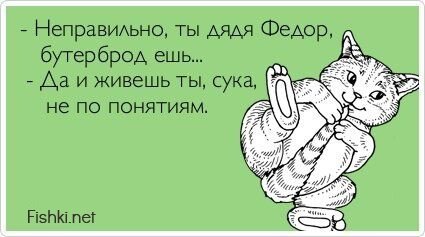 Прикольные открытки, часть 161413