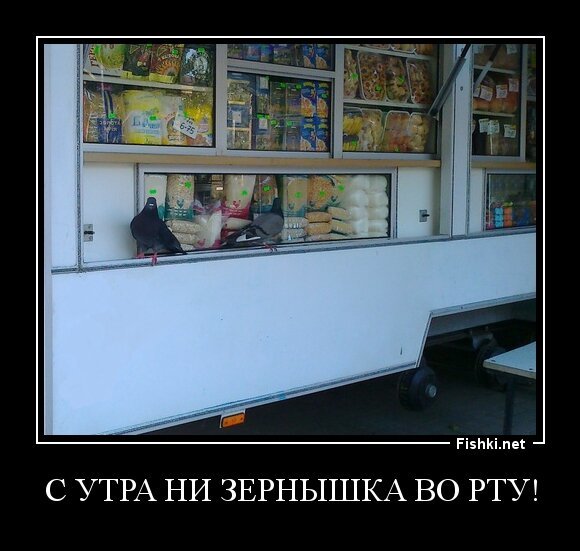 С утра ни зернышка во рту!