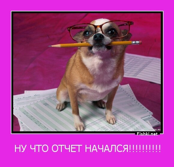 ну что отчет начался!!!!!!!!!!