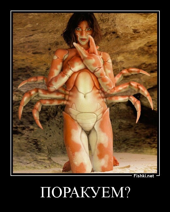 Поракуем?