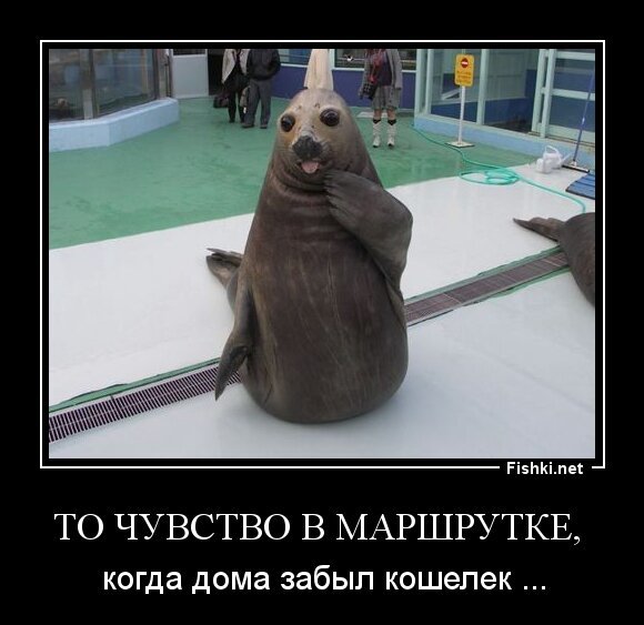 То чувство в маршрутке, 
