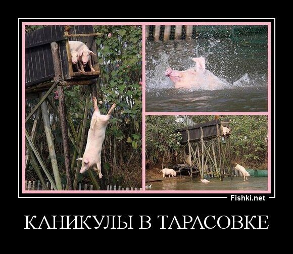 Каникулы в Тарасовке