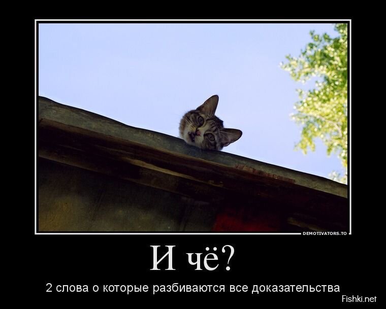 Смешной демотиватор от zubrilov за 17.07.2013 №161887