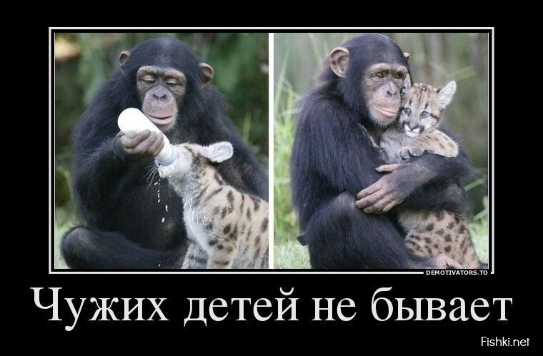 Смешной демотиватор от zubrilov за 17.07.2013 №161888
