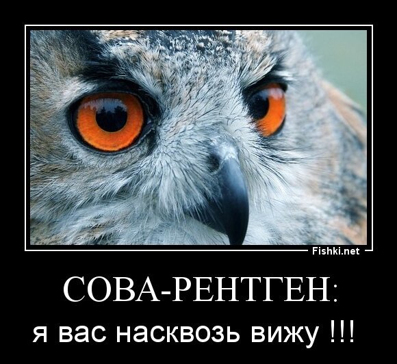 сова-рентген: