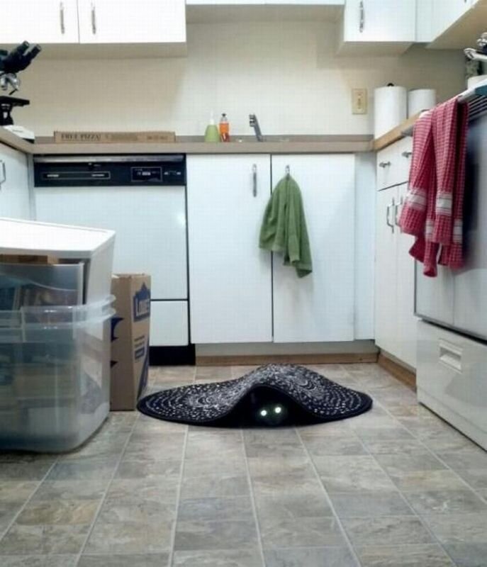 Пикантный фотоприкол