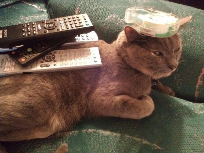 Фотоальбом